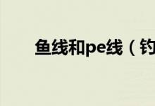 魚線和pe線（釣魚線pe線是什么線）