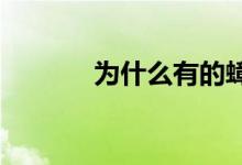 為什么有的蟑螂會(huì)飛有的不會(huì)