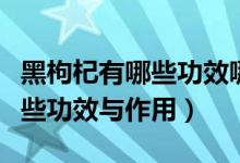 黑枸杞有哪些功效哪些人不能喝（黑枸杞有哪些功效與作用）