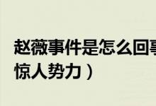 趙薇事件是怎么回事（深扒其背后不為人知的驚人勢(shì)力）