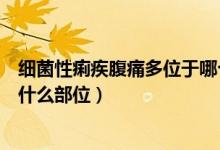 細(xì)菌性痢疾腹痛多位于哪個(gè)部位（細(xì)菌性痢疾的腹痛多位于什么部位）