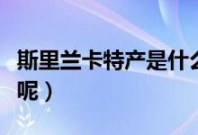 斯里蘭卡特產(chǎn)是什么呢（斯里蘭卡特產(chǎn)是什么呢）