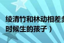 綾清竹和林動相差多少歲（林動和綾清竹什么時候生的孩子）