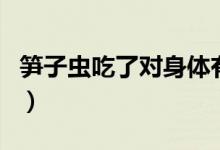 筍子蟲吃了對身體有什么好處（筍子蟲能吃嗎）