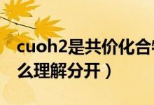 cuoh2是共價化合物嗎（CuOH2的化合價怎么理解分開）