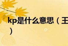 kp是什么意思（王者kp是什么意思網絡用語）