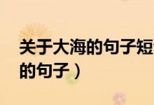 關(guān)于大海的句子短句（什么的大海 關(guān)于大海的句子）