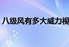 八級風有多大威力視頻（八級風有多大威力）