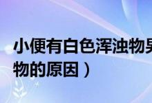 小便有白色渾濁物男性（男性小便有白色混濁物的原因）