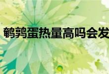 鵪鶉蛋熱量高嗎會(huì)發(fā)胖嗎（鵪鶉蛋熱量高嗎）