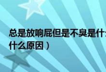 總是放響屁但是不臭是什么原因（經(jīng)常放屁但是不臭還響是什么原因）