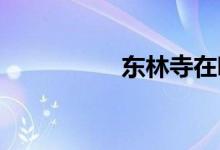 東林寺在哪個省哪個市