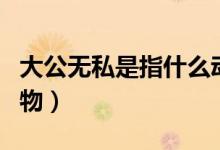 大公無私是指什么動(dòng)物（大公無私是指什么動(dòng)物）