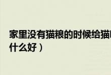 家里沒有貓糧的時候給貓吃什么（家里沒有貓糧了先給貓吃什么好）