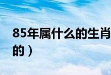 85年屬什么的生肖（1985年的是屬什么生肖的）