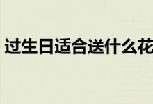 過(guò)生日適合送什么花（生日適合送的花介紹）