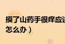 摸了山藥手很癢應該怎么辦（摸了山藥手很癢怎么辦）
