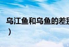 烏江魚和烏魚的差別（烏江魚和水煮魚的區(qū)別）