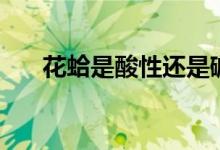 花蛤是酸性還是堿性（花蛤是海鮮嗎）
