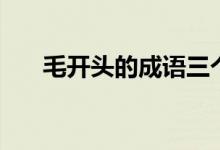 毛開頭的成語三個字（毛開頭的成語）