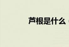 蘆根是什么（蘆根詳細介紹）