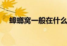 蟑螂窩一般在什么地方(蟑螂窩怎么找)