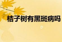 桔子樹有黑斑病嗎（冀z屬于河北哪個市）