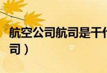 航空公司航司是干什么的（奶航是哪個航空公司）