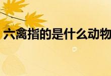 六禽指的是什么動(dòng)物（三禽六畜是哪些動(dòng)物）