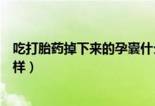 吃打胎藥掉下來的孕囊什么樣（吃打胎藥掉下來的孕囊什么樣）