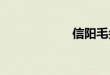 信陽毛尖產(chǎn)地哪里