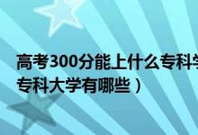 高考300分能上什么專科學(xué)校（2022高考300分左右的公辦?？拼髮W(xué)有哪些）