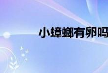 小蟑螂有卵嗎（小蟑螂長啥樣）
