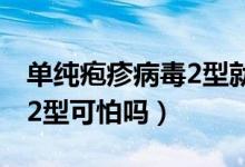 單純皰疹病毒2型就是梅毒嗎（單純皰疹病毒2型可怕嗎）