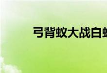 弓背蟻大戰(zhàn)白蟻（弓背蟻的特點(diǎn)）