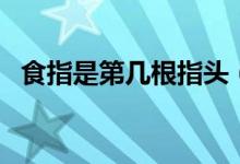 食指是第幾根指頭（食指是第幾根手指頭）
