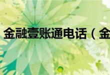 金融壹賬通電話(huà)（金融壹賬通是個(gè)什么機(jī)構(gòu)）