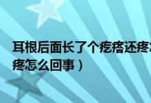 耳根后面長了個(gè)疙瘩還疼怎么治療（耳根后面長了個(gè)疙瘩還疼怎么回事）