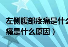 左側(cè)腹部疼痛是什么原因?qū)е碌模ㄗ髠?cè)腹部疼痛是什么原因）