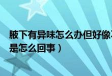 腋下有異味怎么辦但好像不是狐臭（腋下有異味但不是狐臭是怎么回事）