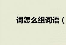 詞怎么組詞語（漢字詞怎么組詞語）