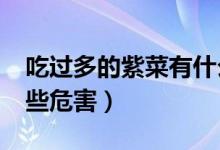吃過(guò)多的紫菜有什么危害?（長(zhǎng)期吃紫菜有哪些危害）