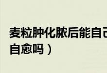 麥粒腫化膿后能自己排膿嗎（麥粒腫化膿后能自愈嗎）