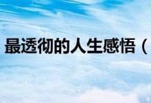 最透徹的人生感悟（最經(jīng)典的人生感悟說說）
