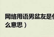 網絡用語男盆友是什么意思（網絡語言npy什么意思）