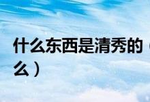什么東西是清秀的（什么清什么秀有什么無什么）