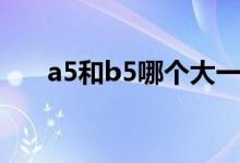a5和b5哪個大一點（a5和b5哪個大）