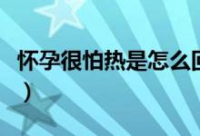 懷孕很怕熱是怎么回事（懷孕怕熱是怎么回事）