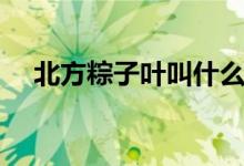 北方粽子葉叫什么（北方粽子葉有幾種）