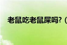 老鼠吃老鼠屎嗎?（人吃了老鼠屎會怎樣）